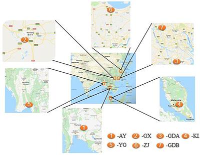 Analysis of Genetic Structure of Wild and Cultured Giant Freshwater Prawn (Macrobrachium rosenbergii) Using Newly Developed Microsatellite